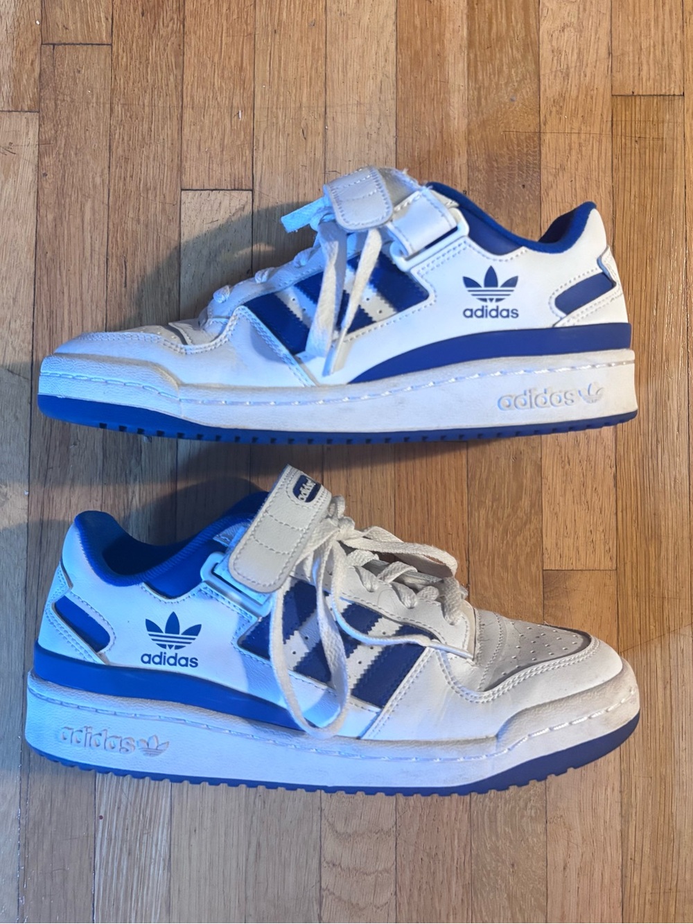 adidas Forum White/Royal Blue